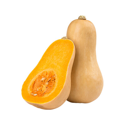 Tikva Butternut